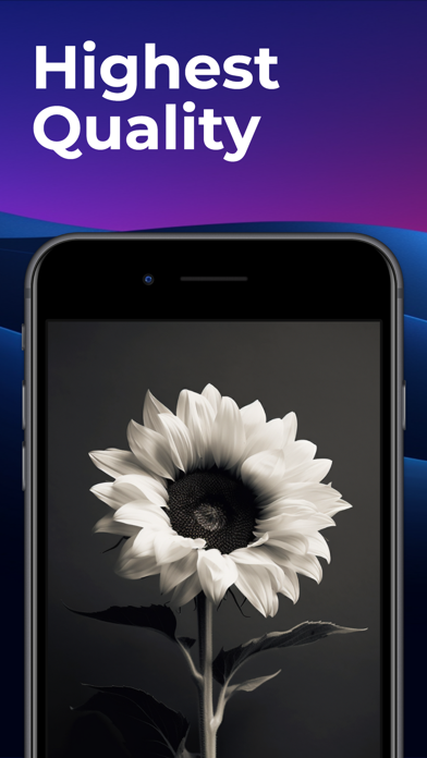 ELEGANT - Wallpapers — preview 2