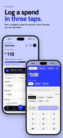 Budget & Net Worth: Investr — preview 4